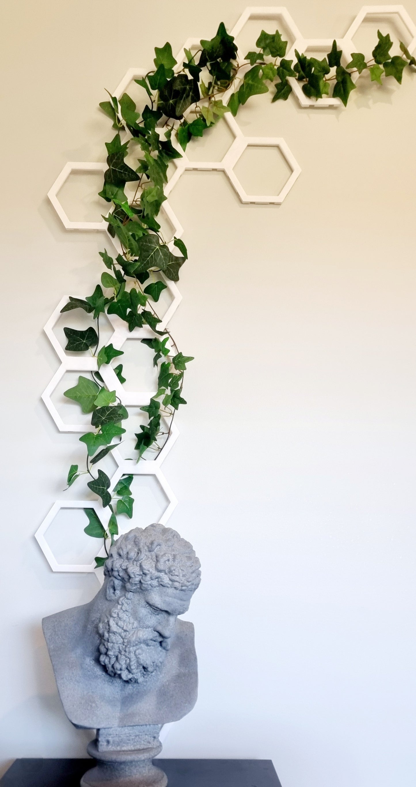 Honeycomb Modular Wall Art/Plant Trellis