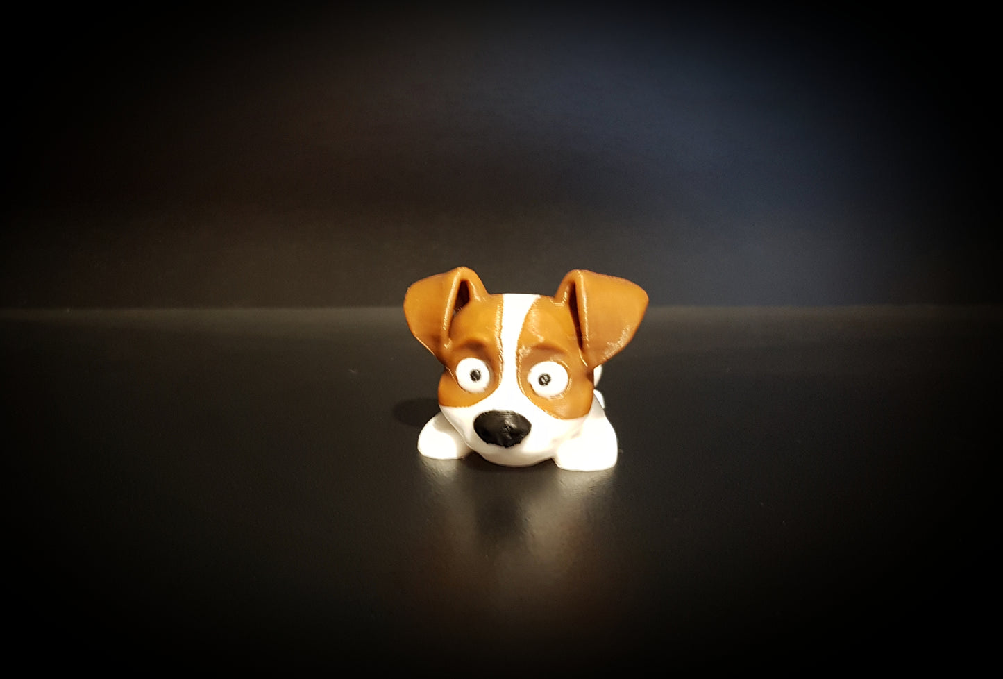 Mini Jack Russell