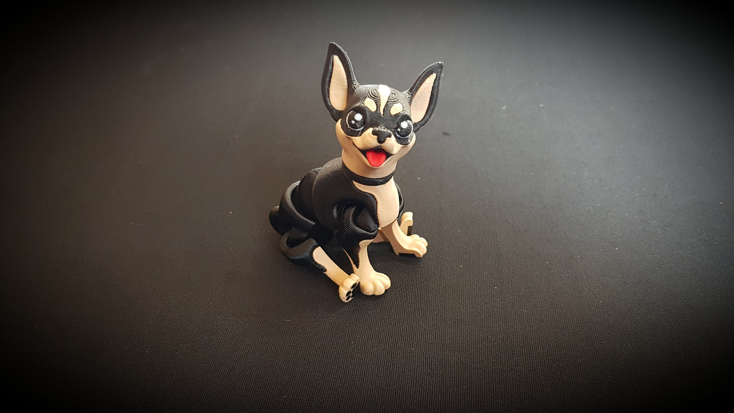 Mini Chihuahua