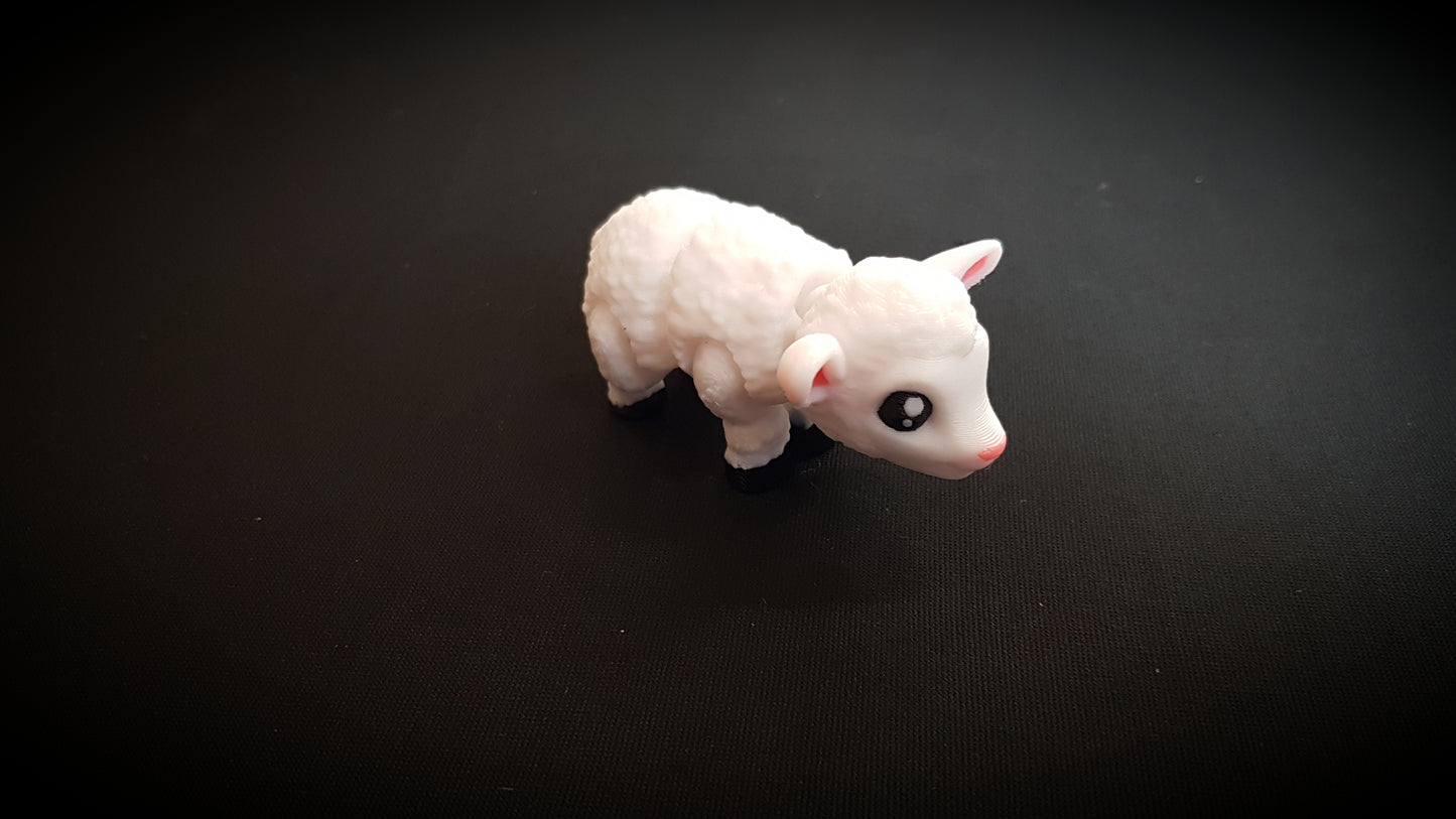 Mini Sheep