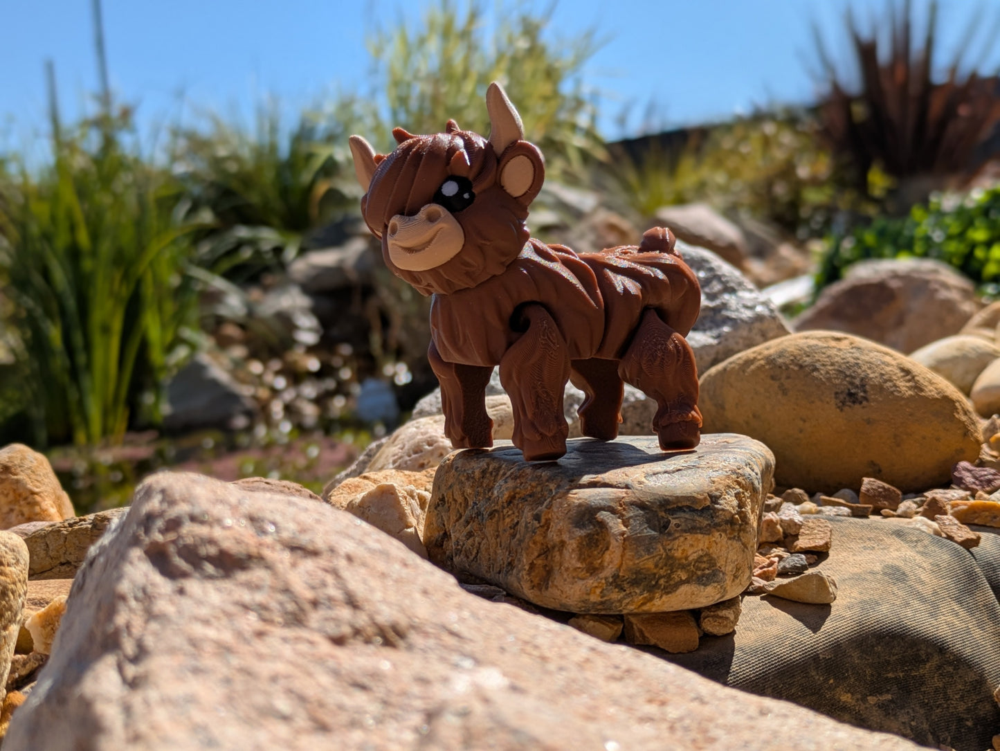 Mini Highland Cow