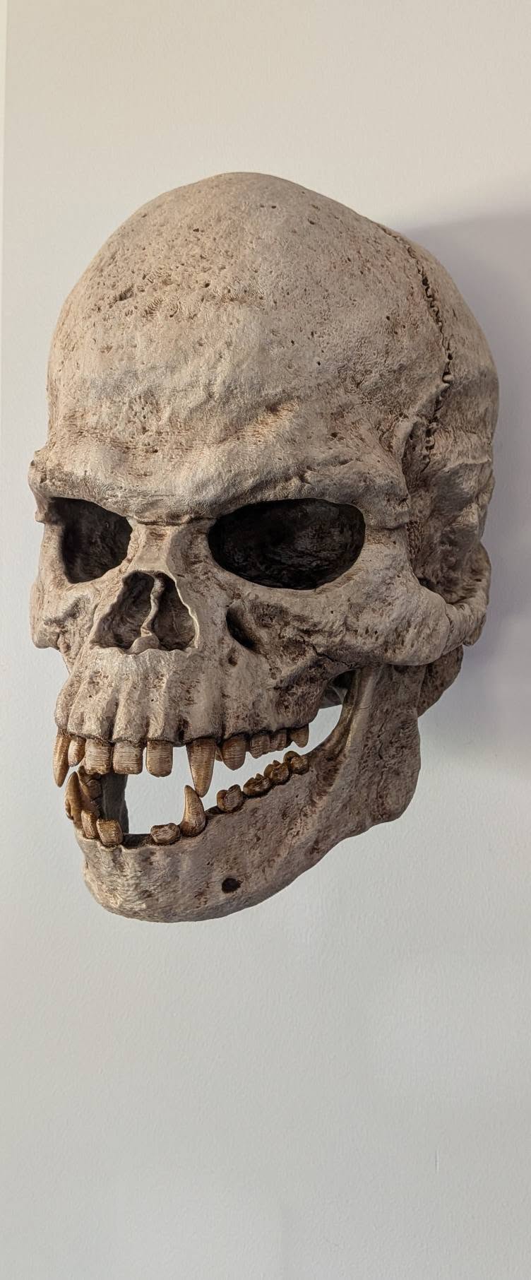 Wookiee Skull