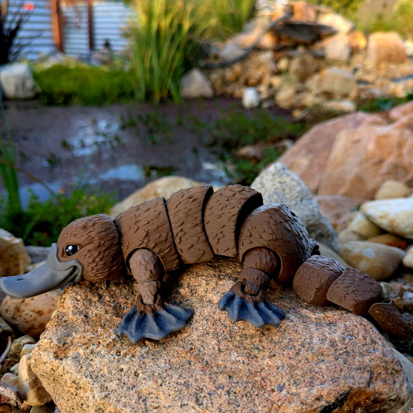 Platypus