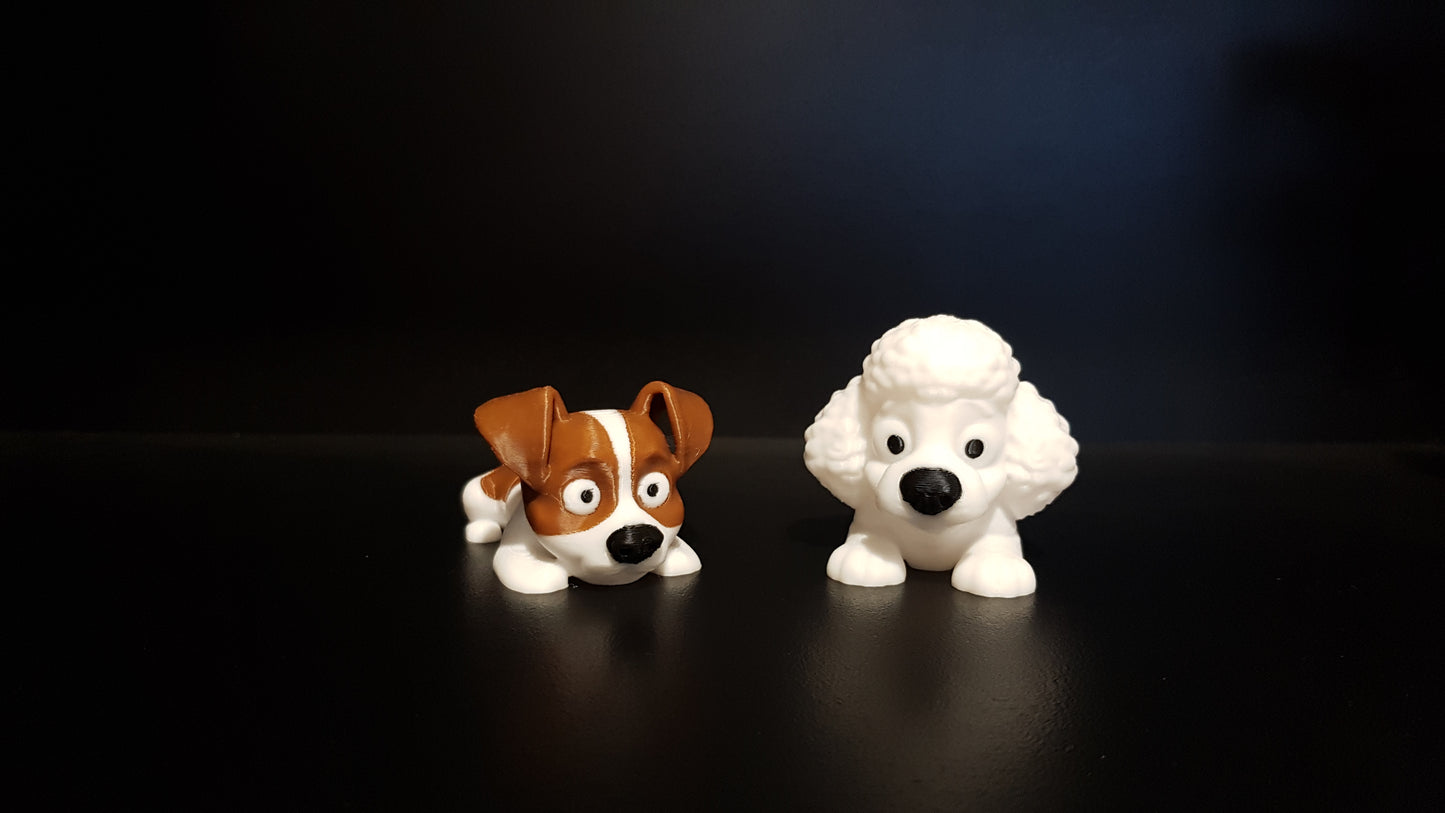 Mini Poodle