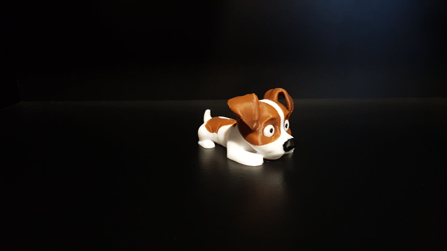 Mini Jack Russell