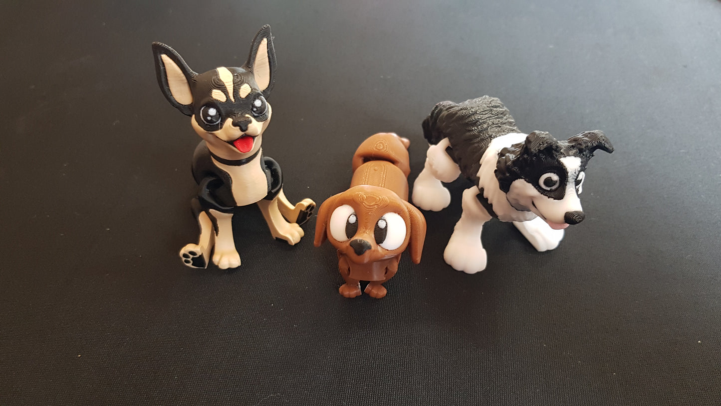 Mini Chihuahua