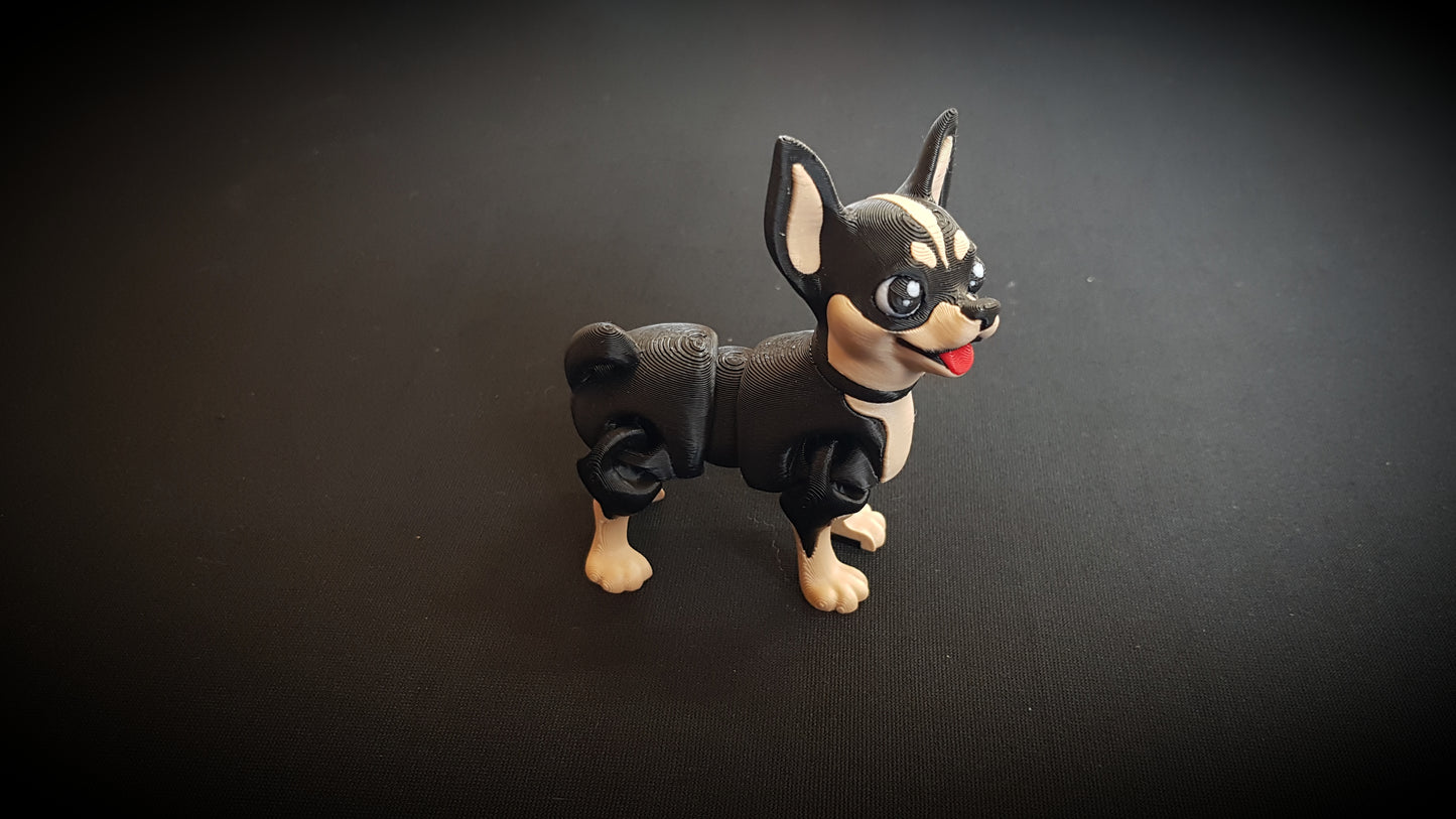 Mini Chihuahua