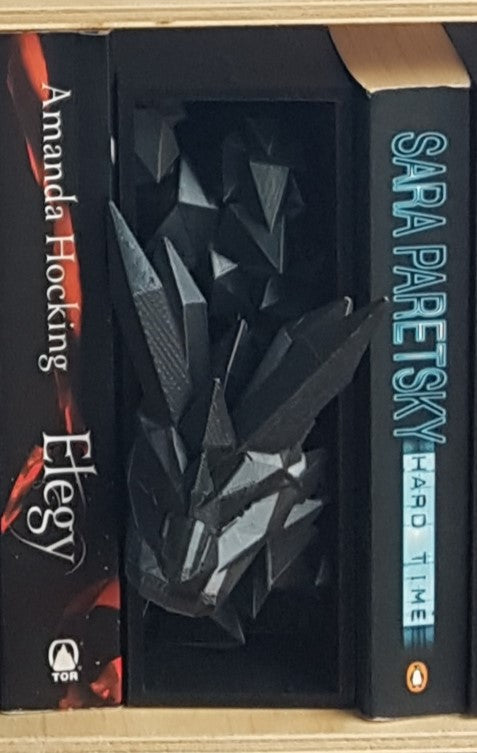 Single Dragon Book Nook