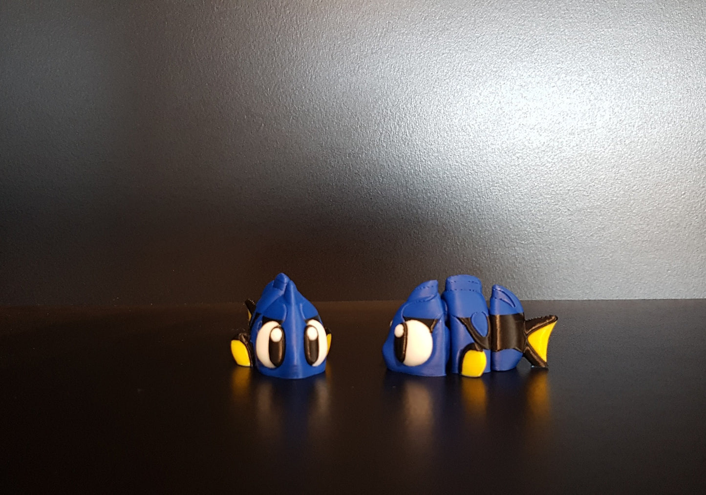 Mini Dory Fish