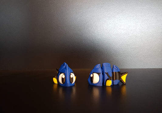 Mini Dory Fish