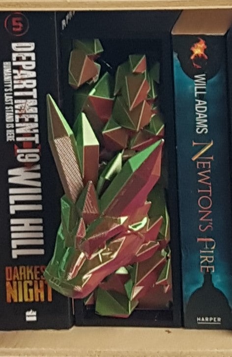 Single Dragon Book Nook