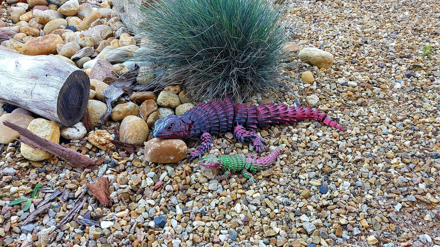 Lizard