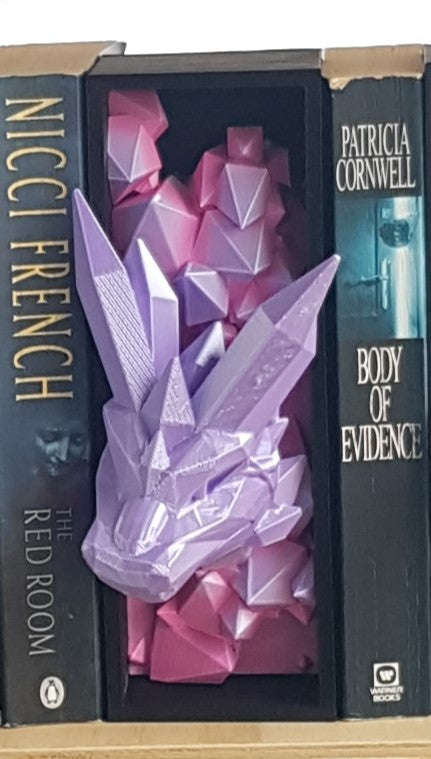 Single Dragon Book Nook