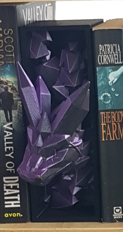 Single Dragon Book Nook