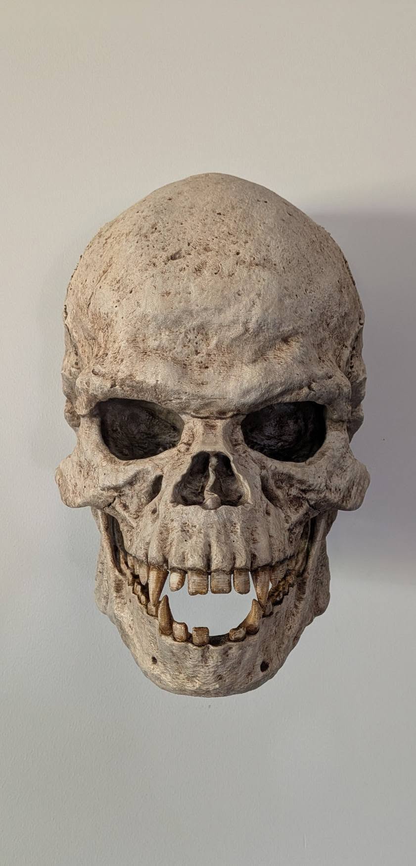Wookiee Skull