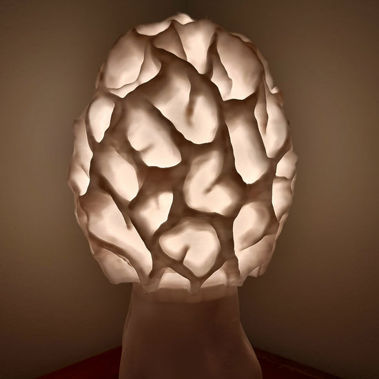 Yellow morel