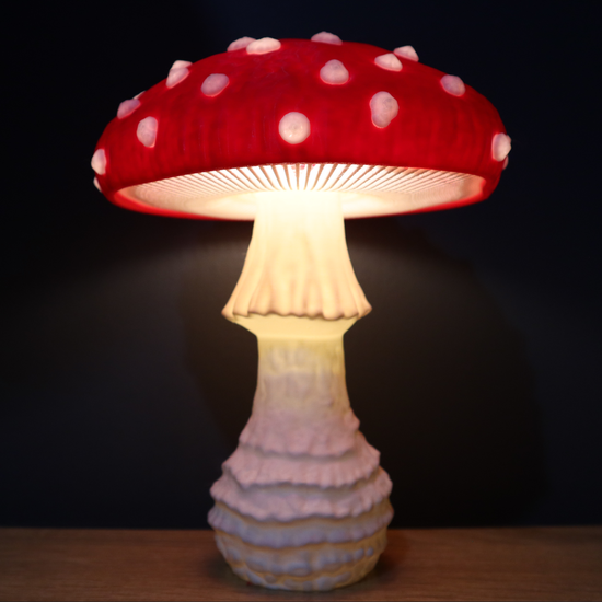 Amanita Muscaria