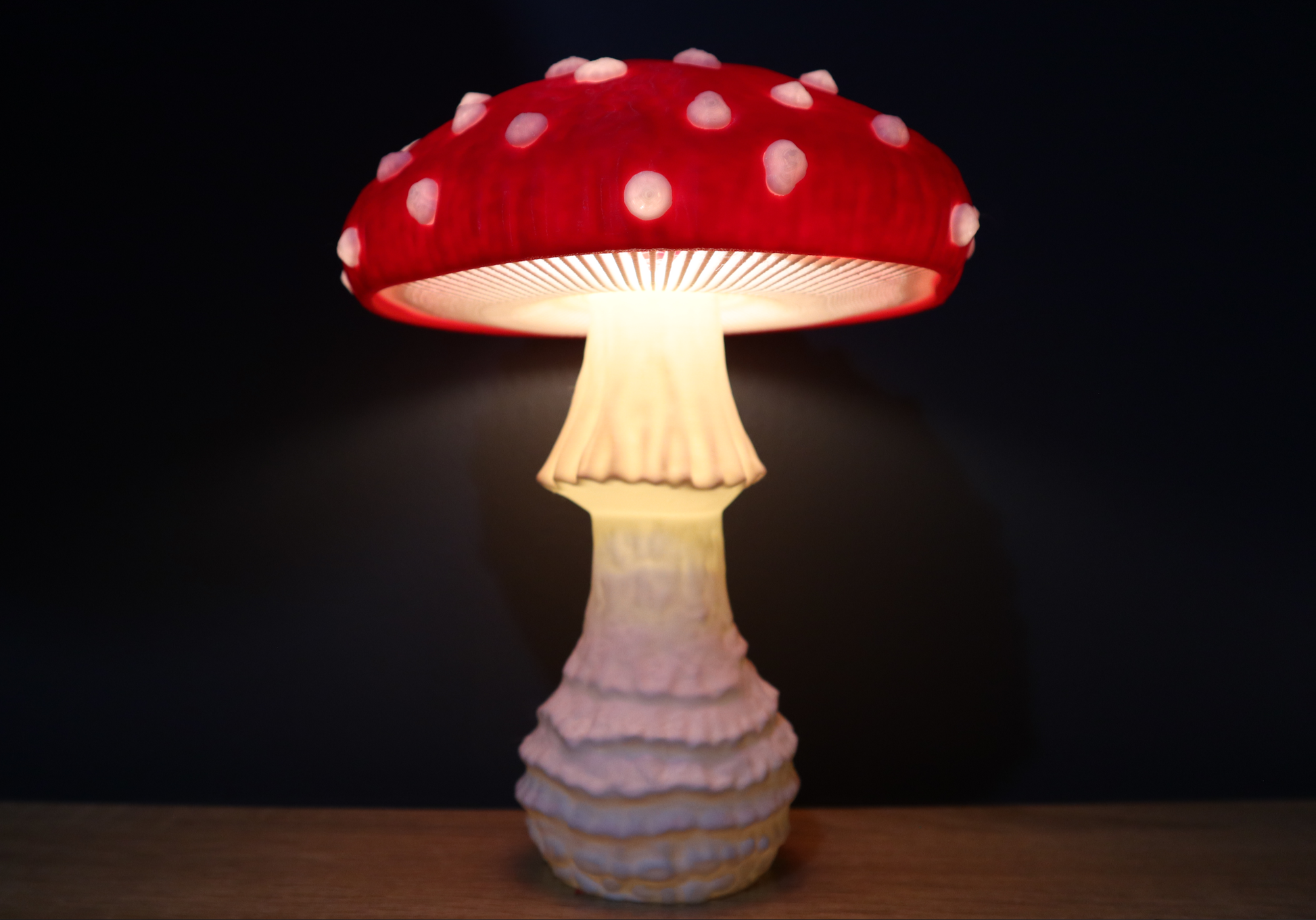 Amanita Muscaria