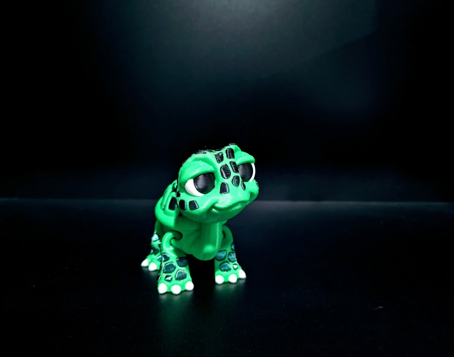 Tortoise