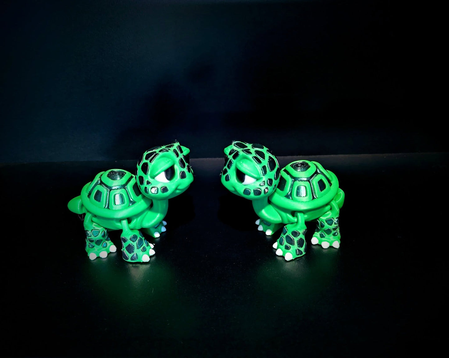 Tortoise