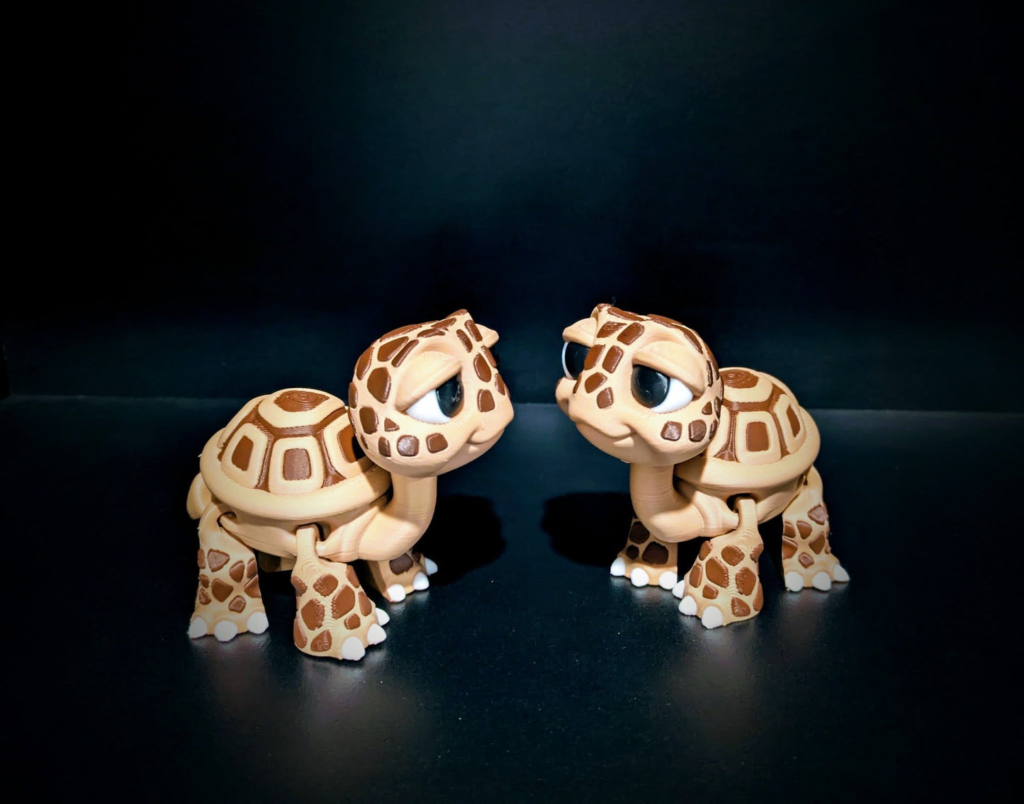 Tortoise