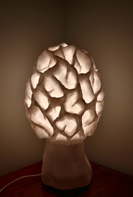 Fungi lamp- Morchella